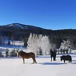 Wichrowe Wzgorze Janowa Gora, Czarna Gora, Sienna *