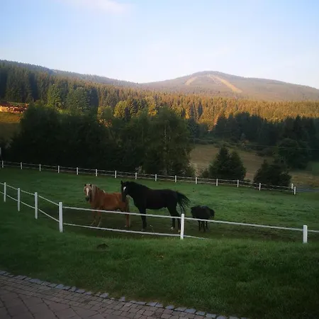 Wichrowe Wzgorze Janowa Gora, Czarna Gora, Sienna Stronie Slaskie