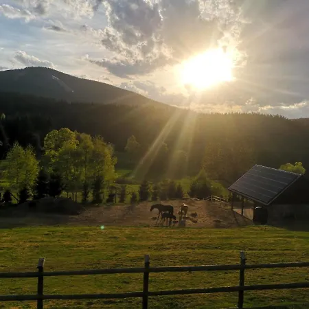 Wichrowe Wzgorze Janowa Gora, Czarna Gora, Sienna