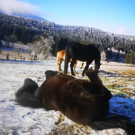 Wichrowe Wzgorze Janowa Gora, Czarna Gora, Sienna Stronie Śląskie