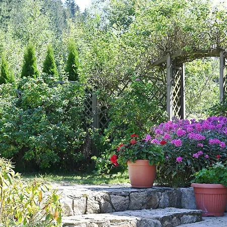 Wichrowe Wzgorze Farma Stronie Śląskie