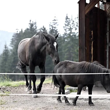 Farma Wichrowe Wzgorze