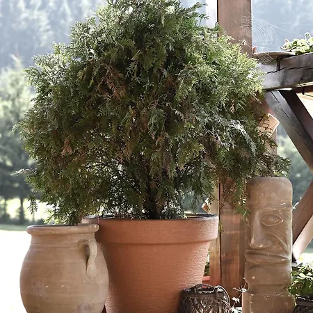 Wichrowe Wzgorze Stronie Śląskie