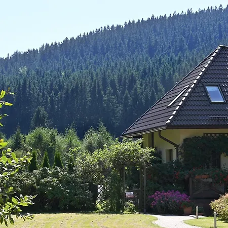 Wichrowe Wzgorze Janowa Gora, Czarna Gora, Sienna