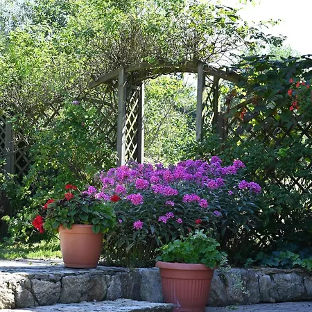 Wichrowe Wzgorze Farma