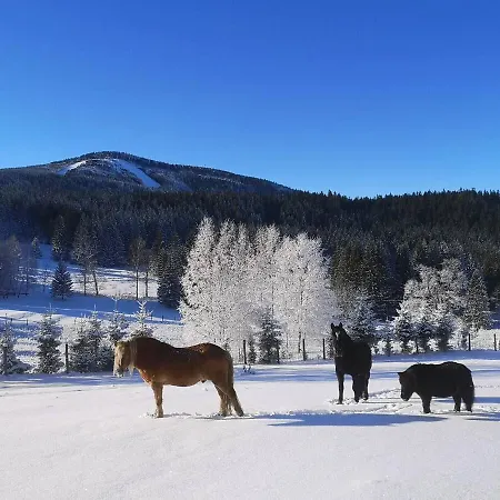 Wichrowe Wzgorze Janowa Gora, Czarna Gora, Sienna *
