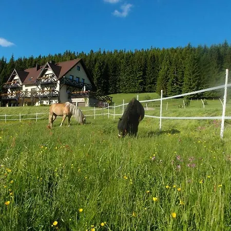 Wichrowe Wzgorze Janowa Gora, Czarna Gora, Sienna Stronie Śląskie