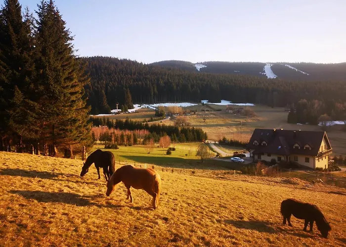 Wichrowe Wzgorze Janowa Gora, Czarna Gora, Sienna Stronie Śląskie