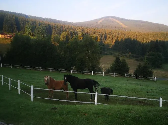 Wichrowe Wzgorze Janowa Gora, Czarna Gora, Sienna Stronie Slaskie