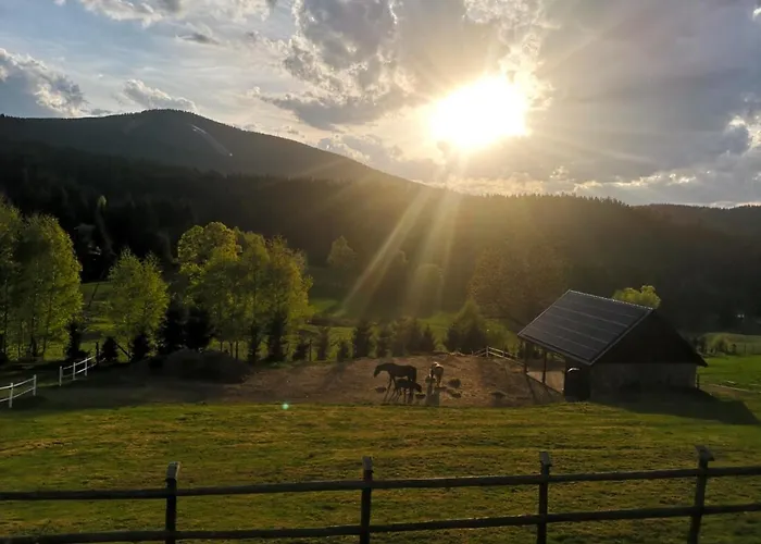 Wichrowe Wzgorze Janowa Gora, Czarna Gora, Sienna