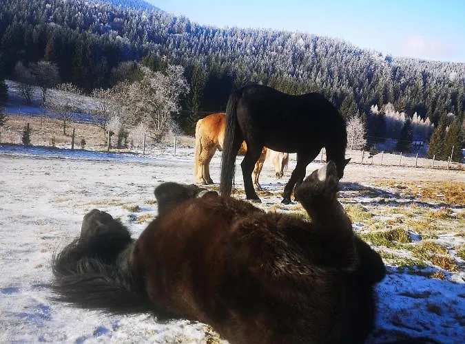 Wichrowe Wzgorze Janowa Gora, Czarna Gora, Sienna Stronie Śląskie