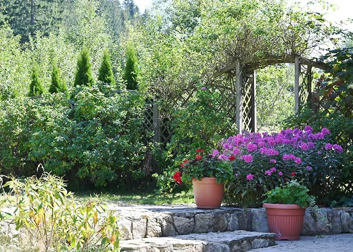 Wichrowe Wzgorze Janowa Gora, Czarna Gora, Sienna Alloggio per agriturismo Stronie Śląskie