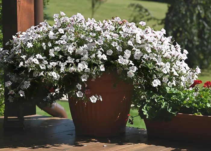 Wichrowe Wzgorze Janowa Gora, Czarna Gora, Sienna Stronie Śląskie