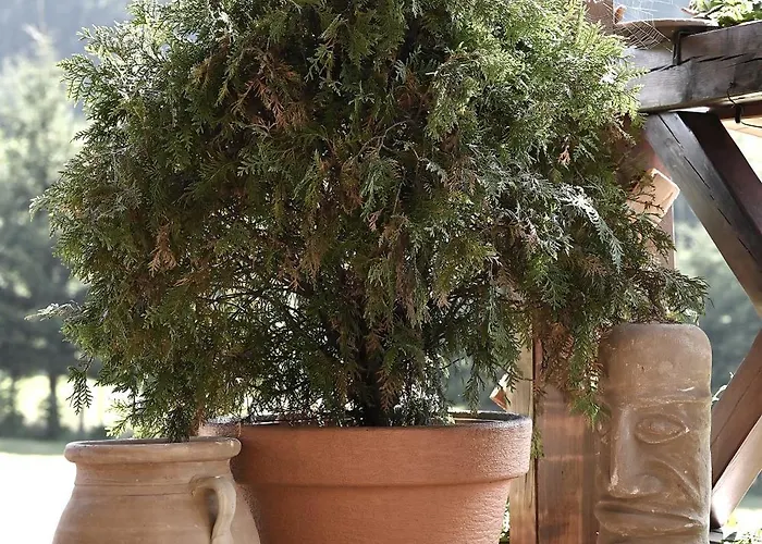 Wichrowe Wzgorze Janowa Gora, Czarna Gora, Sienna Stronie Slaskie