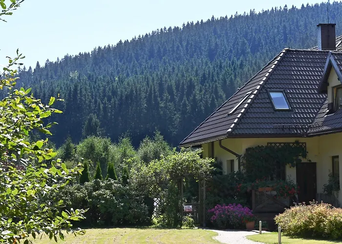 Wichrowe Wzgorze Janowa Gora, Czarna Gora, Sienna