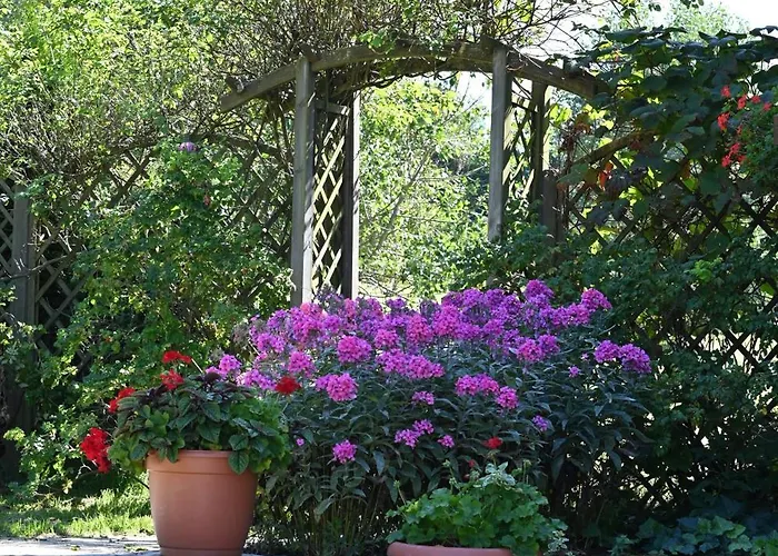 Wichrowe Wzgorze Janowa Gora, Czarna Gora, Sienna Alloggio per agriturismo