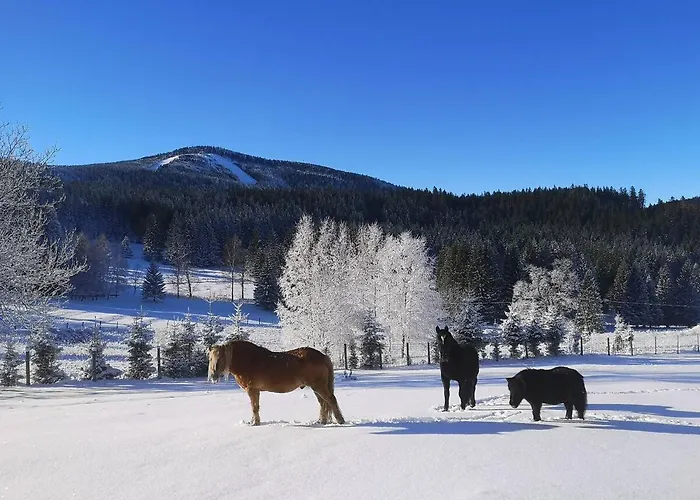 Wichrowe Wzgorze Janowa Gora, Czarna Gora, Sienna *