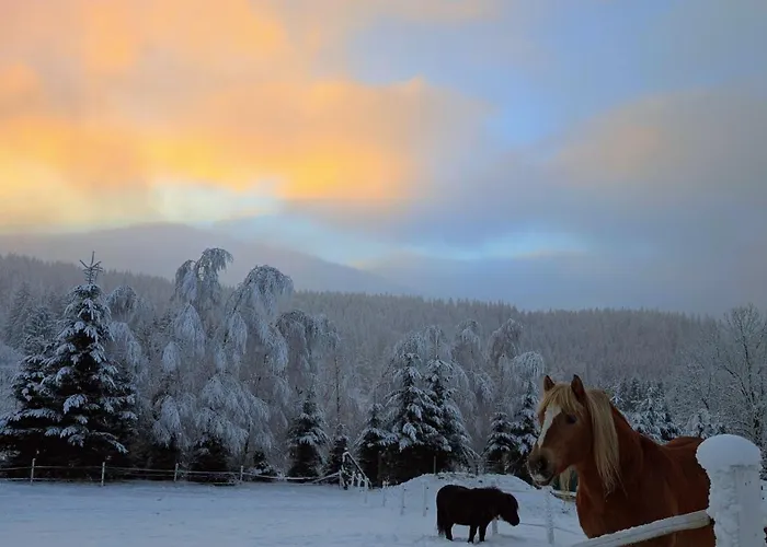Wichrowe Wzgorze Janowa Gora, Czarna Gora, Sienna *
