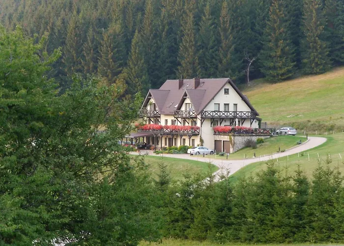 Wichrowe Wzgorze Janowa Gora, Czarna Gora, Sienna